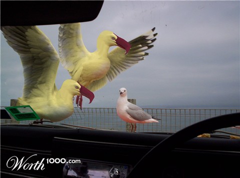 Photoshop Design by philgtaylor