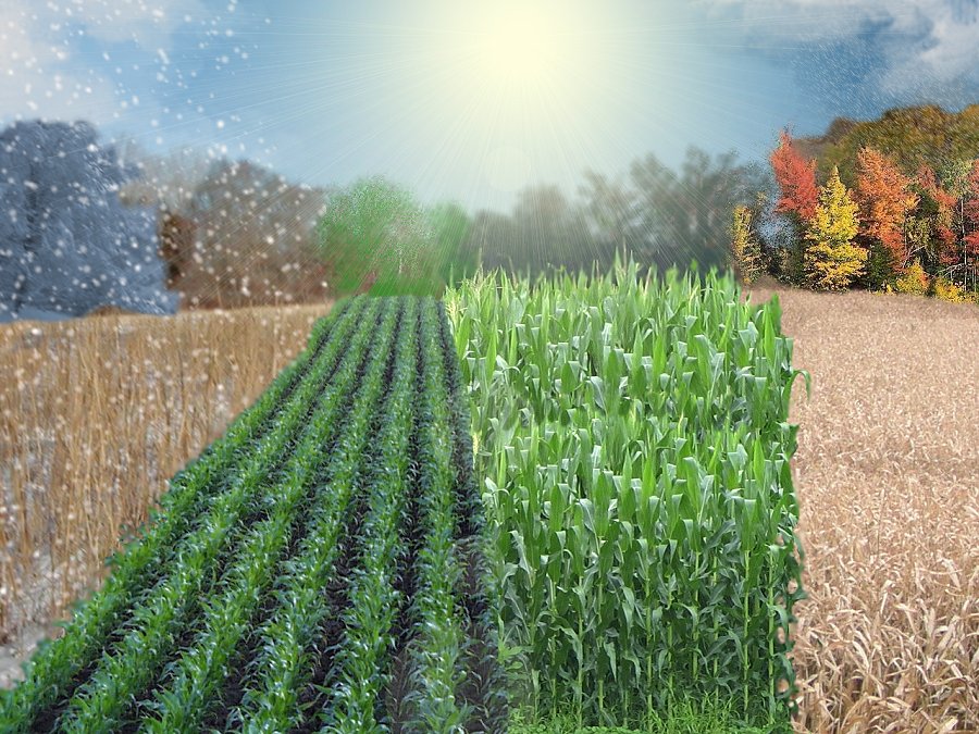 Photoshop Design by JClark8220 for DesignCrowd (Community Contests) | Design #9009016