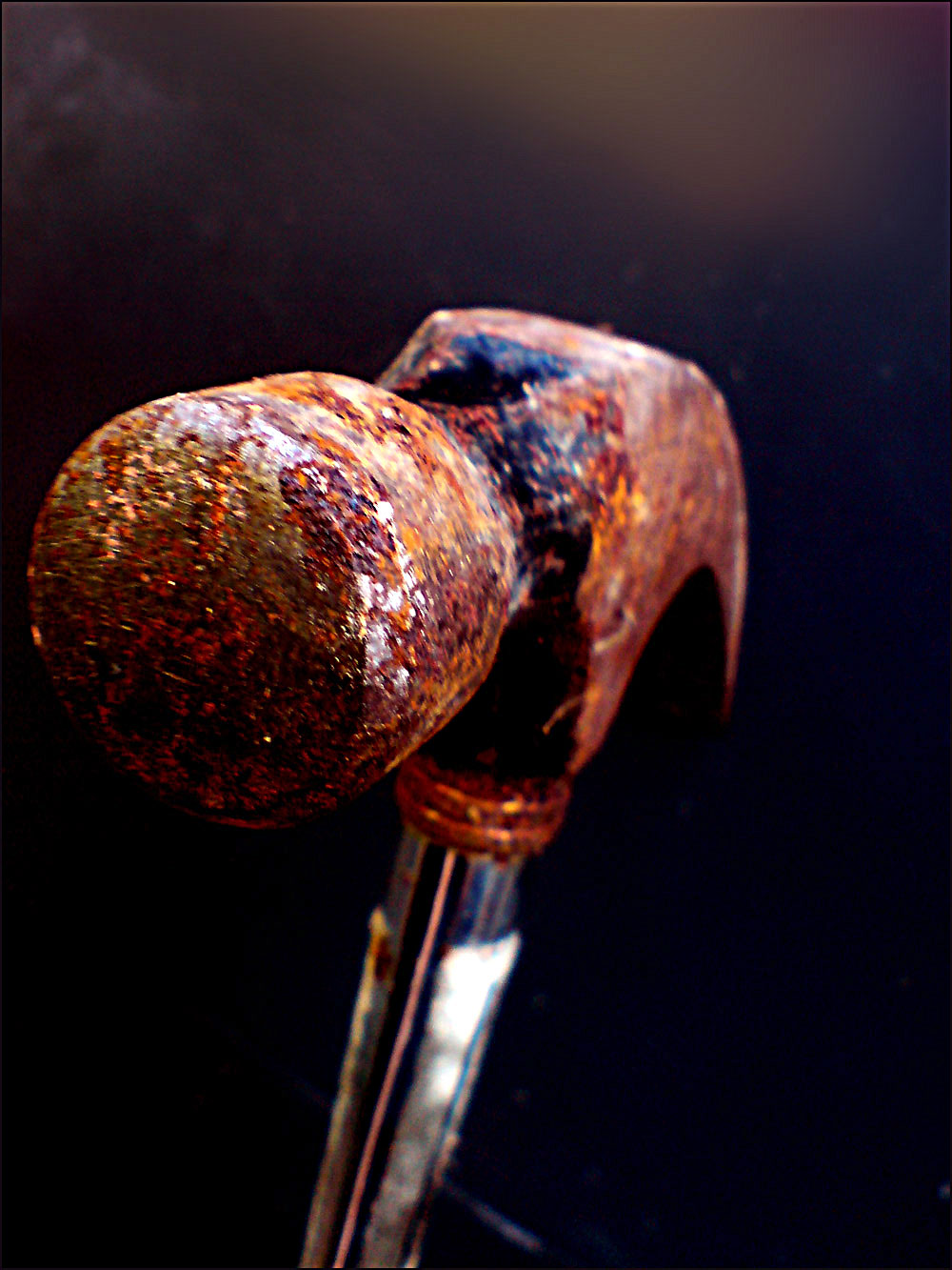 Photography by Flimzer for DesignCrowd (Community Contests) | Design #9011457