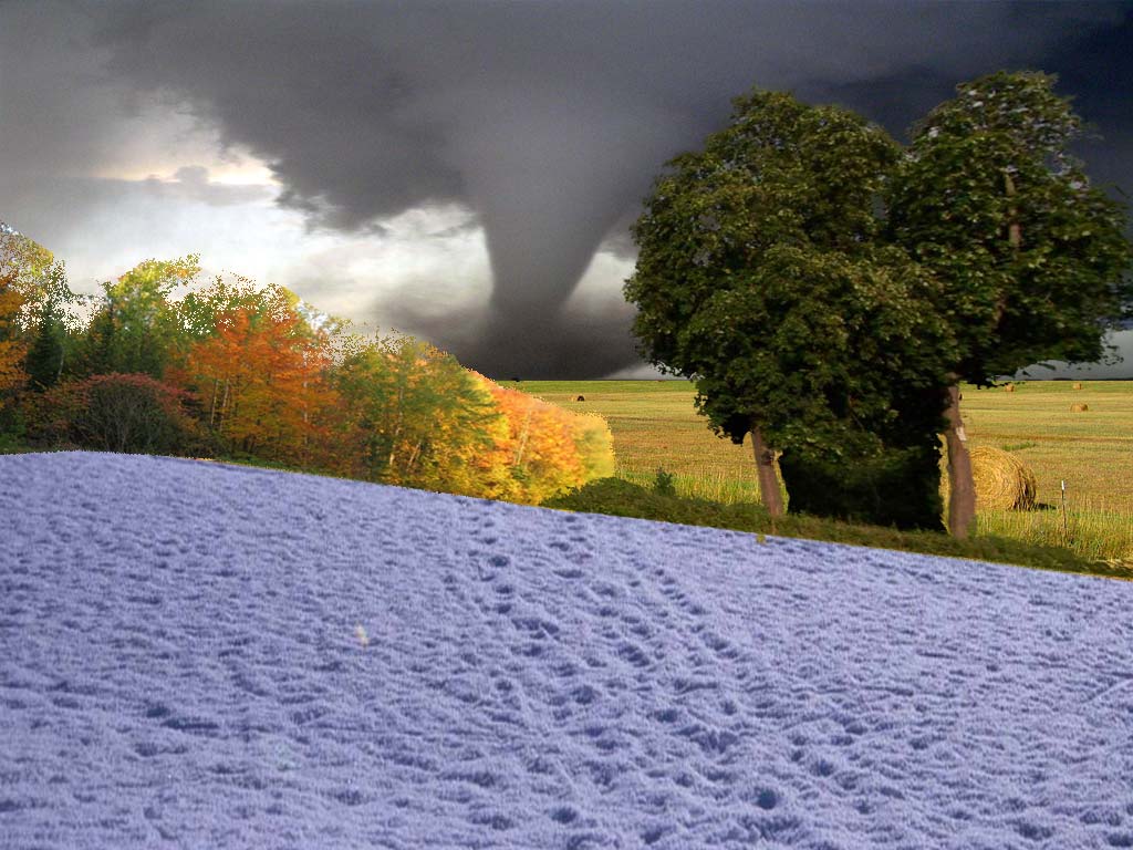 Design Photoshop par Marious pour DesignCrowd (Community Contests) | Design #9009040