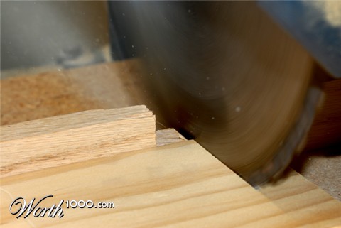 Photography by rrg239