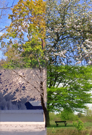 Photoshop Design by frankenstijn for DesignCrowd (Community Contests) | Design #9009100