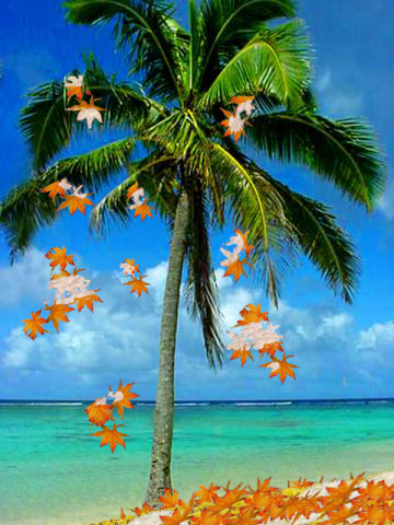 Photoshop Design by 1020Rocker for DesignCrowd (Community Contests) | Design #9009120