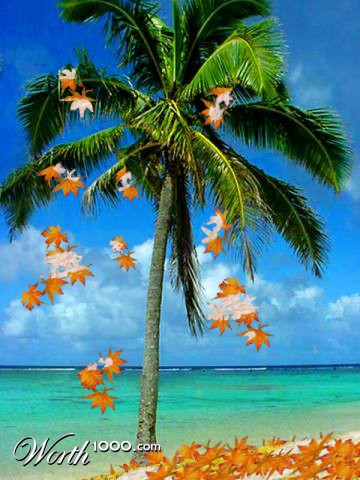 Photoshop Design by 1020Rocker