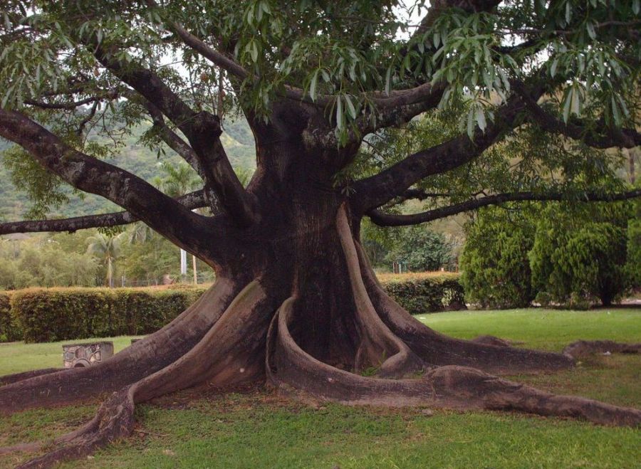 Photography by seanaw for DesignCrowd (Community Contests) | Design #9012728