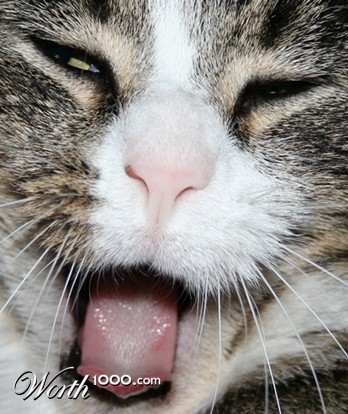 Photography by kelvin27