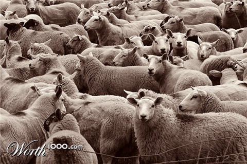 Photography by Marian