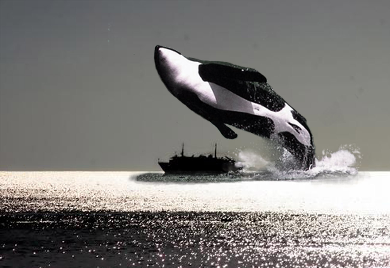 Design Photoshop par Lacenflanl pour DesignCrowd (Community Contests) | Design #9013420