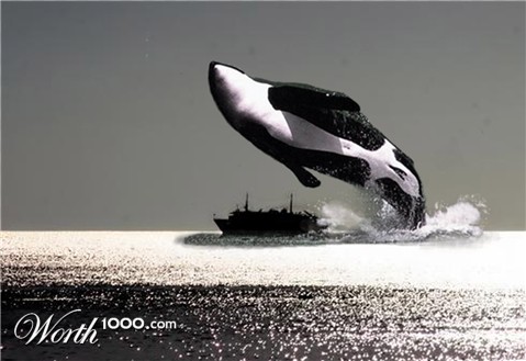 Photoshop Design by Lacenflanl