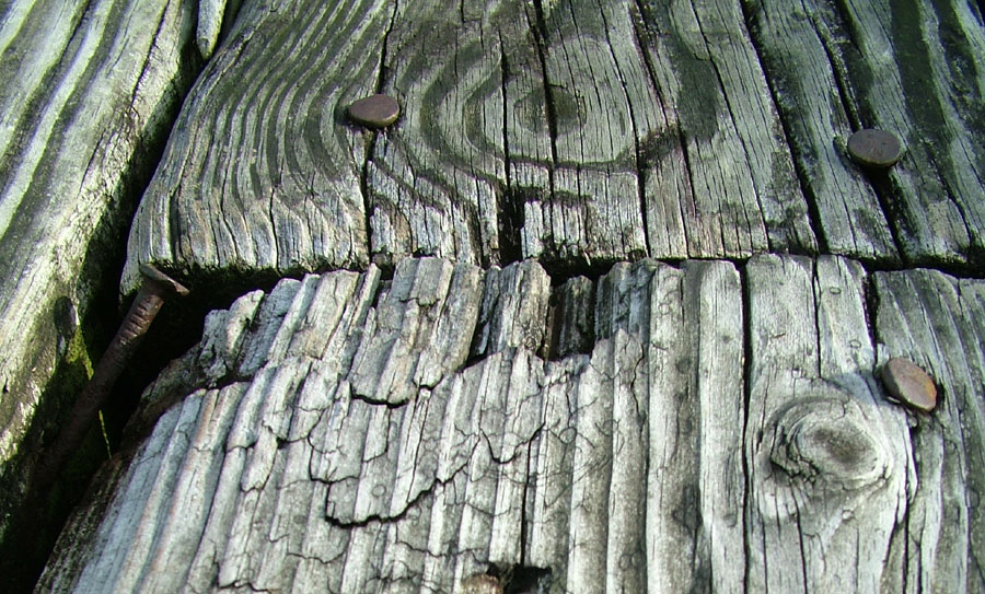 Photography by nedradio for DesignCrowd (Community Contests) | Design #9012757