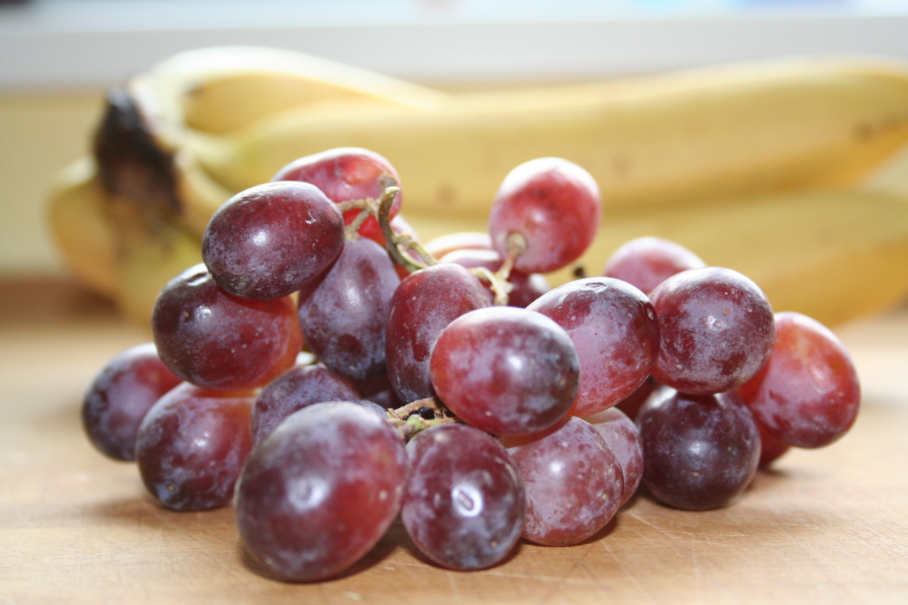 Photography by brakwaater for DesignCrowd (Community Contests) | Design #9008225