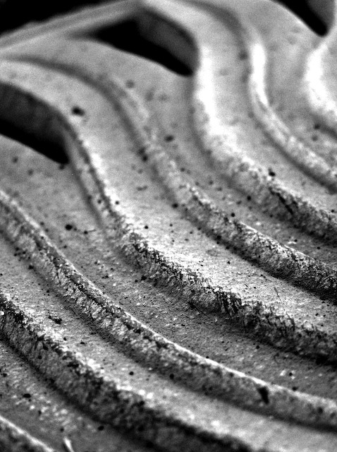 Photography by tomcattmatt for DesignCrowd (Community Contests) | Design #9012784
