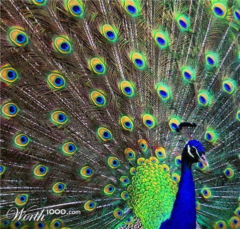 Photography by NatashaP