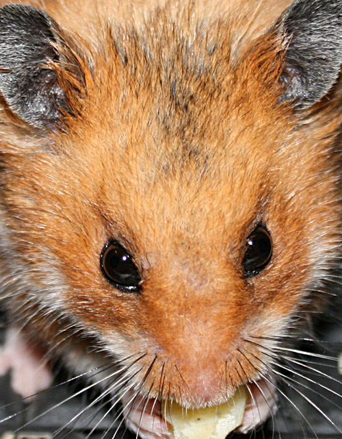 Photography by halfcutt for DesignCrowd (Community Contests) | Design #9012937