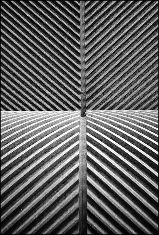 Photography by SigloV for DesignCrowd (Community Contests) | Design #9012836