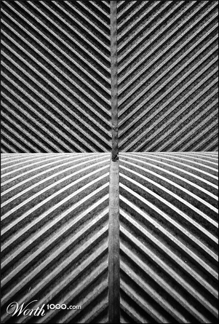 Photography by SigloV