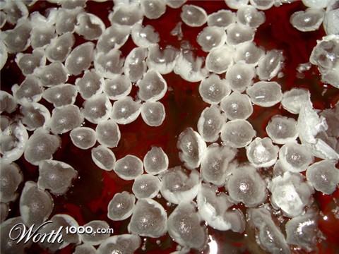 Photography by vipez