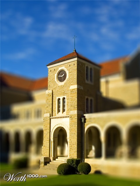 Photography by burns529