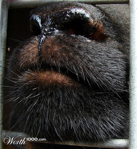 Photography by chilledcoder