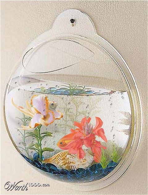 Photoshop Design by LadyHawk771