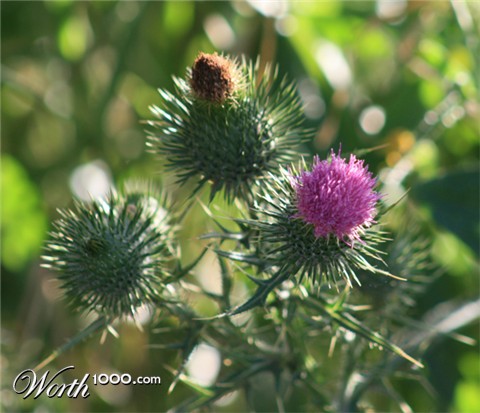 Photography by LW Graphic Design
