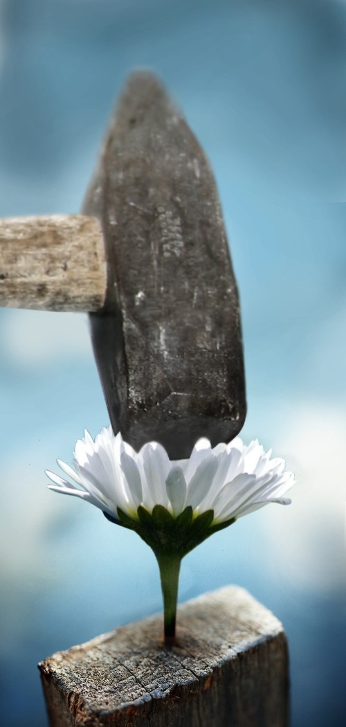 Diseño de Photoshop por Eireen para DesignCrowd (Community Contests) | Diseño #9014970