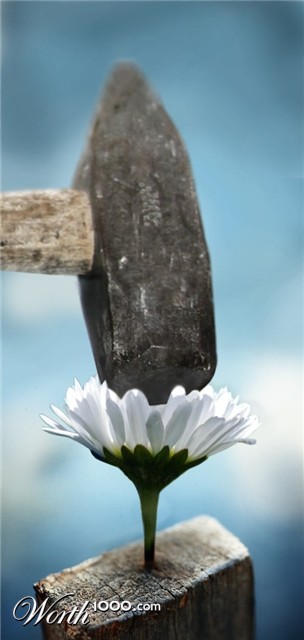 Photoshop Design by Eireen