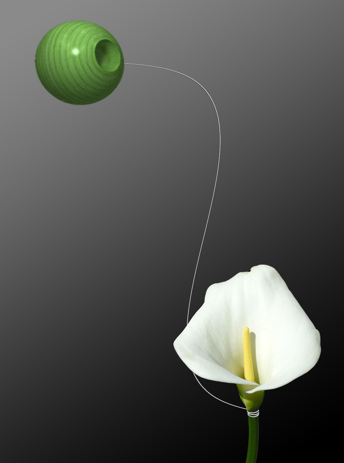 Photoshop Design by Artifakts for DesignCrowd (Community Contests) | Design #9014958