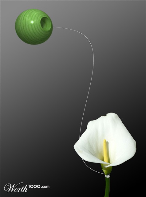 Photoshop Design by Artifakts