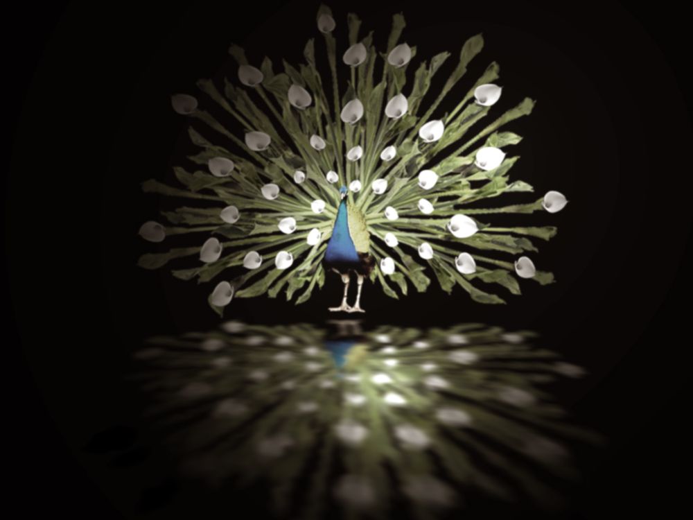 Design Photoshop par ushurani pour DesignCrowd (Community Contests) | Design #9014996