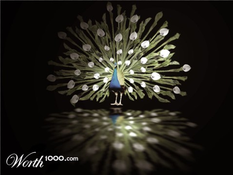 Photoshop Design by ushurani