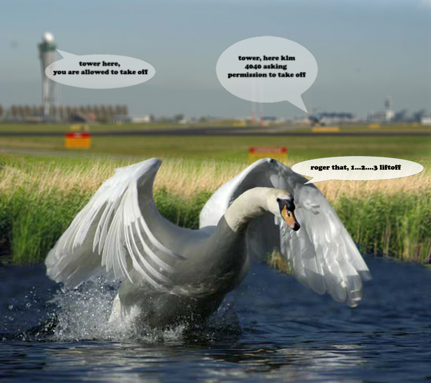 Photoshop Design by RAGschoofs for DesignCrowd (Community Contests) | Design #9009136