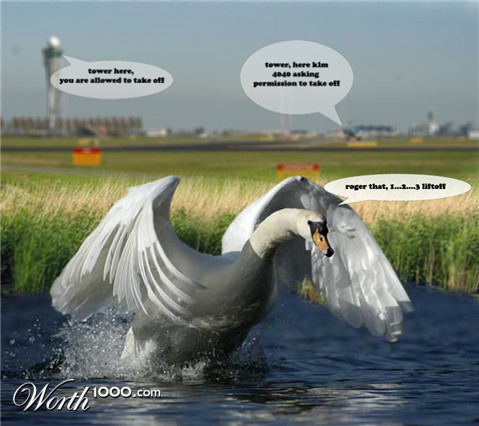 Photoshop Design by RAGschoofs