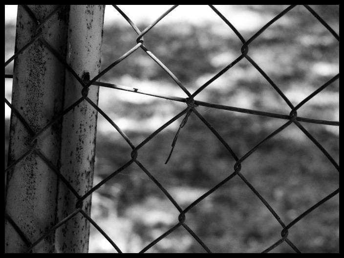 Photography by gyuval13 for DesignCrowd (Community Contests) | Design #9002858