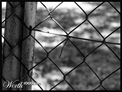 Photography design by gyuval13 for DesignCrowd (Community Contests)