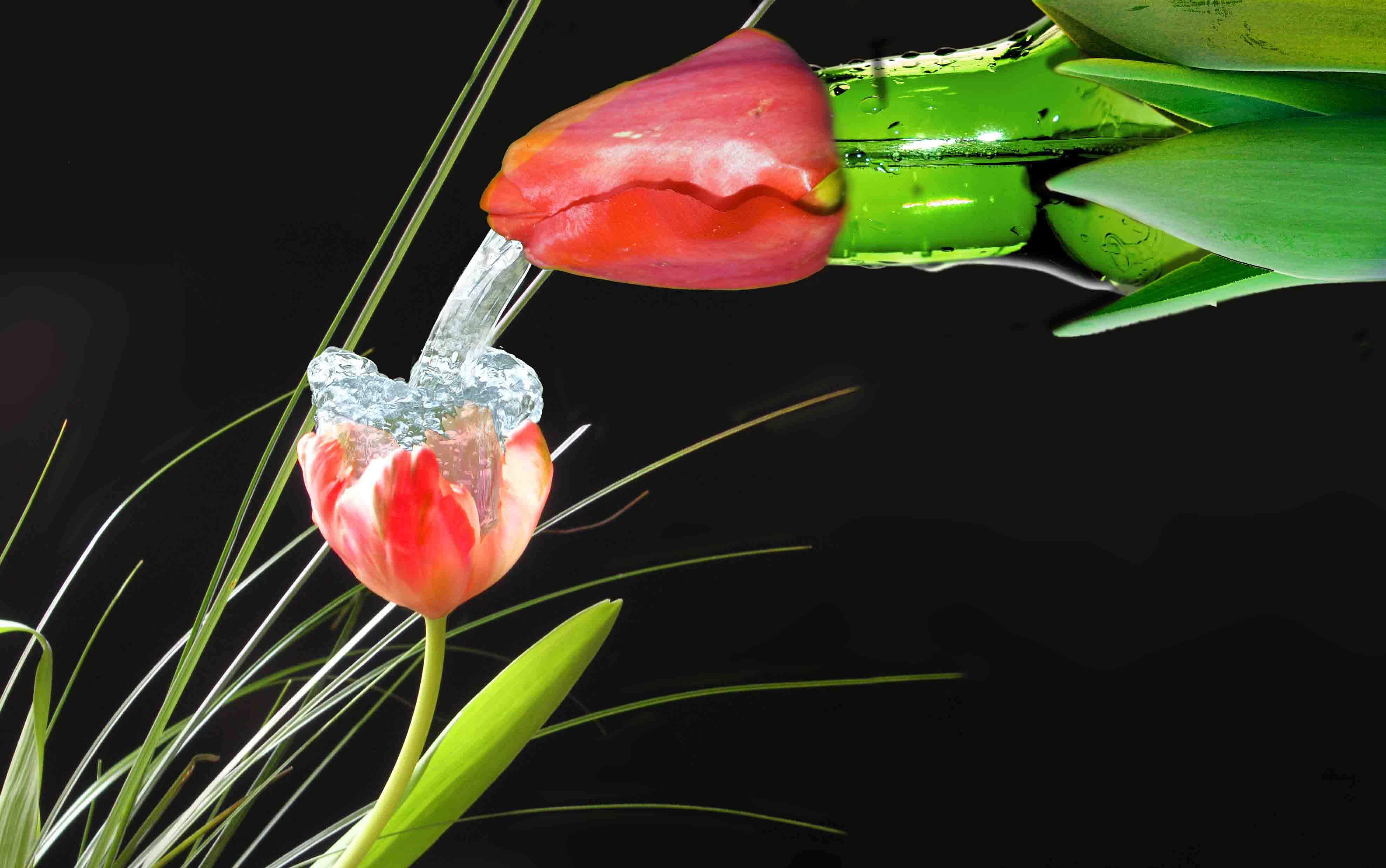 Photoshop Design by eugenen for DesignCrowd (Community Contests) | Design #9014981