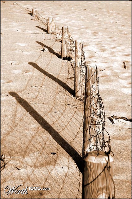 Photography by Jesusito
