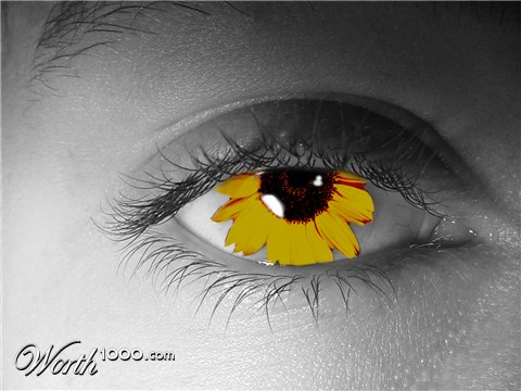 Photoshop Design by hixsportsfreak