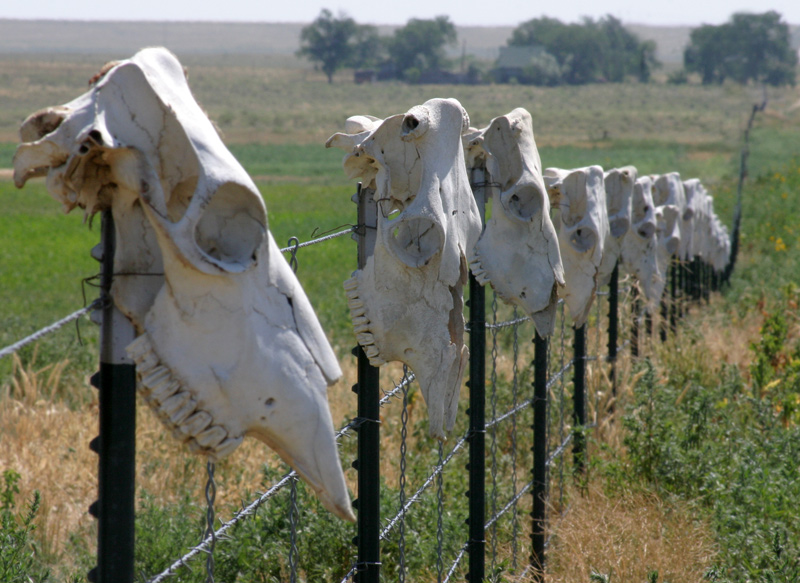 Photography by rdchdwck for DesignCrowd (Community Contests) | Design #9002860