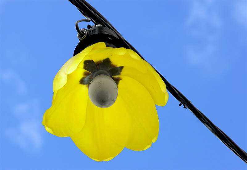 Photoshop-Design von Zorrolf für DesignCrowd (Community Contests) | Design #9015017