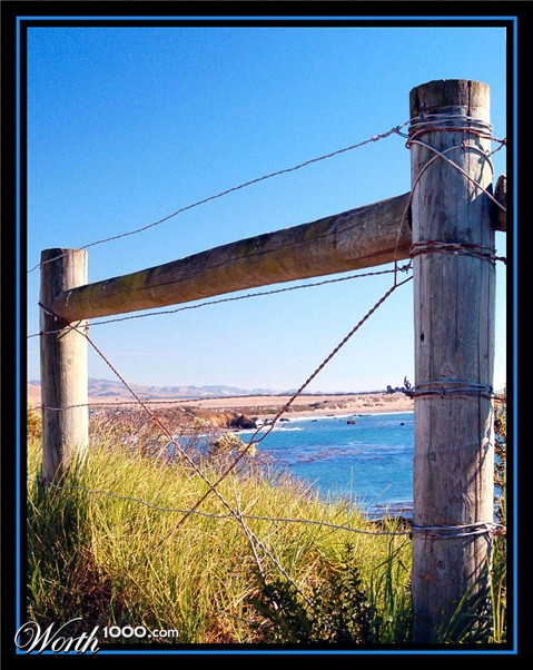 Photography by tlovesd