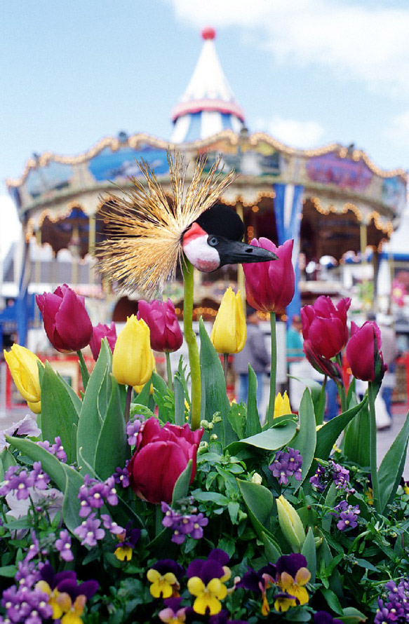 Photoshop Design by lordgilamesh for DesignCrowd (Community Contests) | Design #9015041