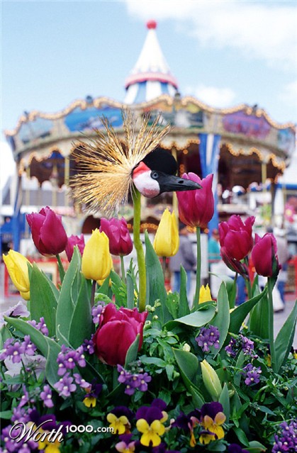 Photoshop Design by lordgilamesh