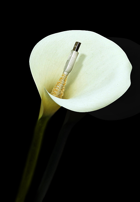 Design Photoshop par 1000gb pour DesignCrowd (Community Contests) | Design #9015026