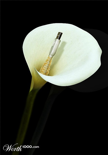 Photoshop Design by 1000gb