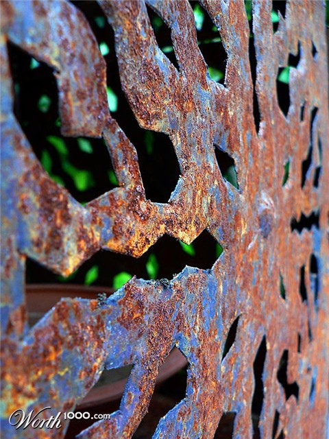 Photography by jandreu