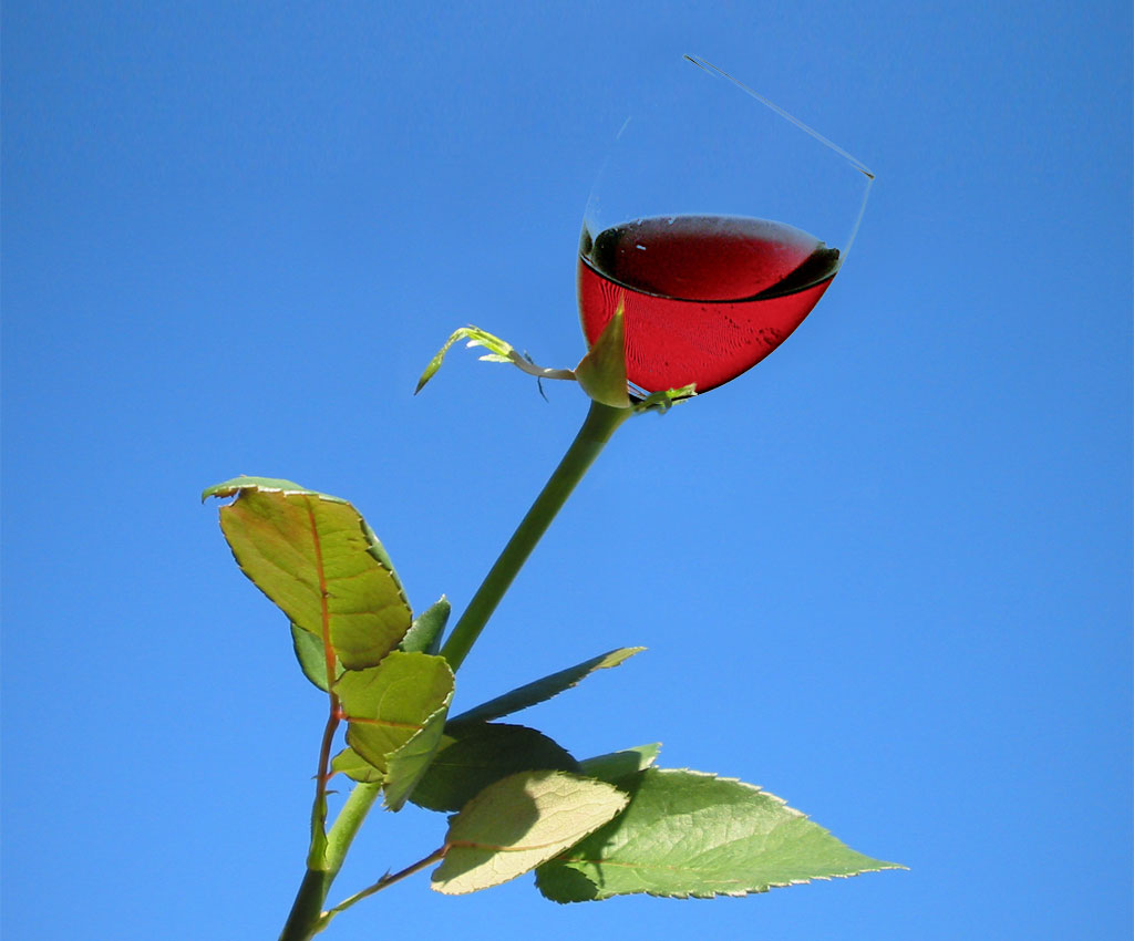 Photoshop Design by Jenzen for DesignCrowd (Community Contests) | Design #9015016