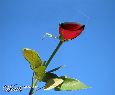 Photoshop Design by Jenzen