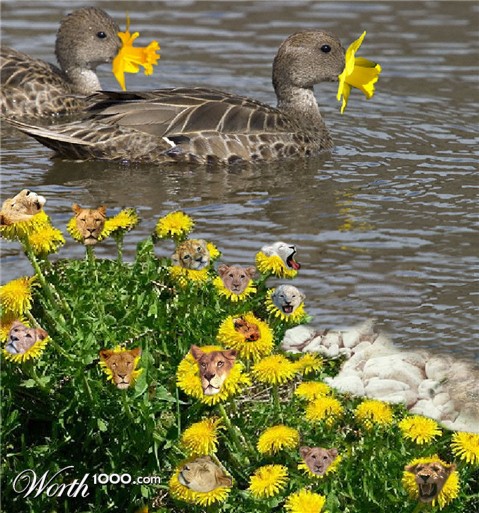 Photoshop Design by RedneckSeniorita
