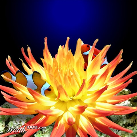Photoshop Design by kimrose